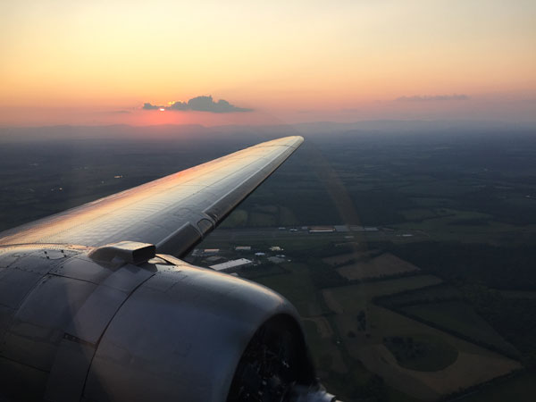 Tabitha May left wing in flight at sunset